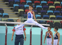 Kişi idman gimnastikası üzrə 22-ci Bakı Çempionatı və Birinciliyi. Bakı, Azərbaycan, 02 oktyabr 2015